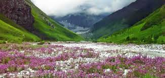 Valley of Flowers Treks 